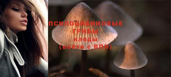 кокаин колумбия Алзамай