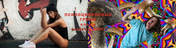кокаин колумбия Алзамай