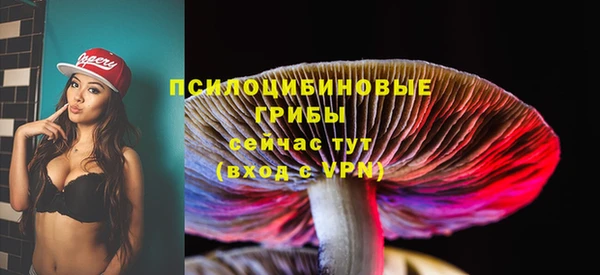 эйфоретик Алексин