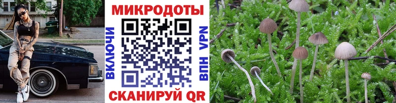 Галлюциногенные грибы Psilocybe  сколько стоит  Чебоксары 