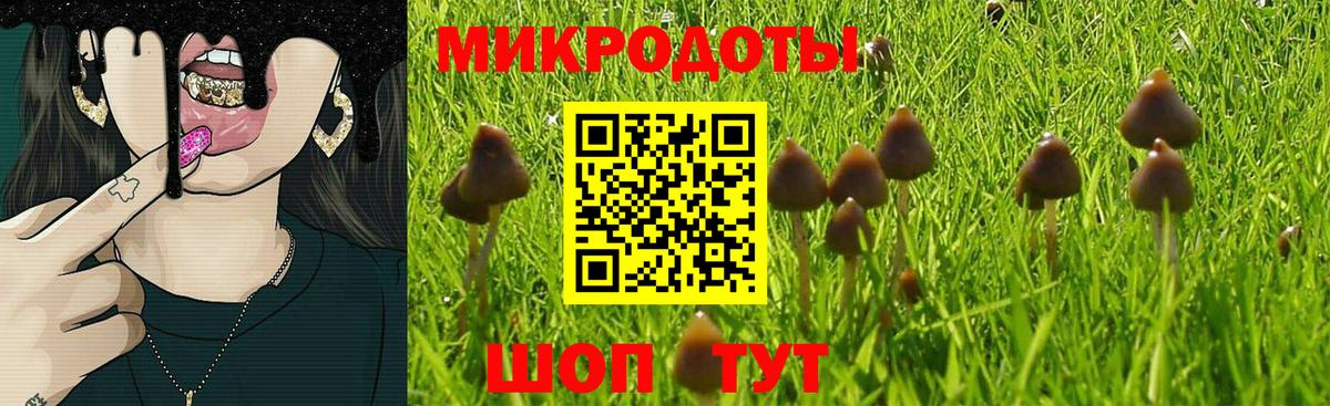 Псилоцибиновые грибы Psilocybine cubensis  Вход с VPN  Чебоксары  Псилоцибиновые грибы прущие грибы 