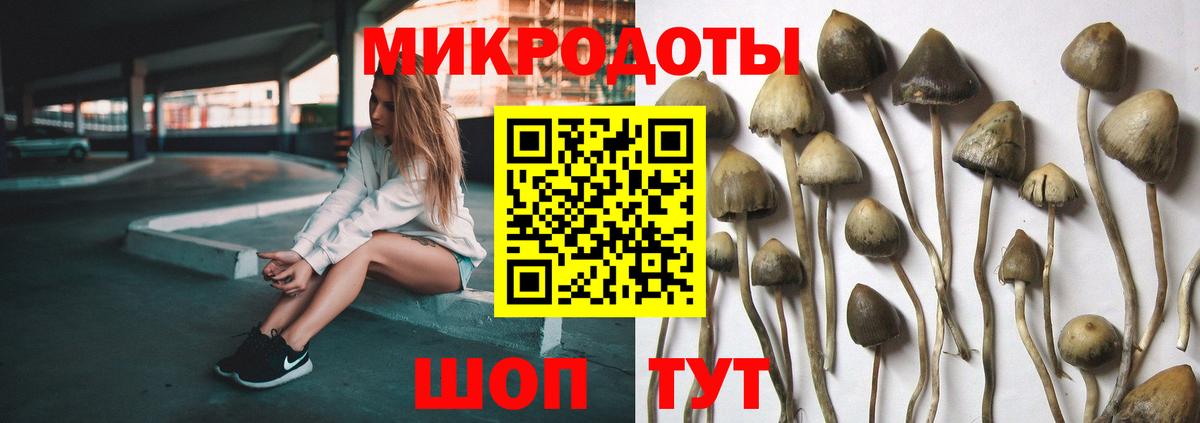 Галлюциногенные грибы Cubensis Чебоксары